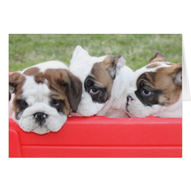 Puppy Love customisable card (Front Horizontal)