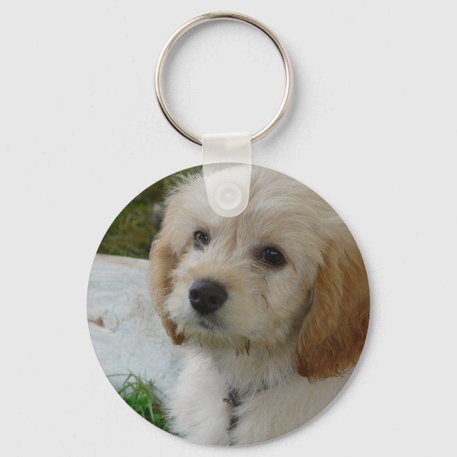 Puppy Love - Cute MaltiPoo Dog Photo Key Ring (Front)