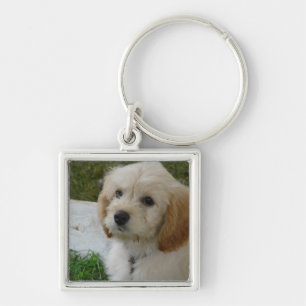 Puppy Love - Cute MaltiPoo Dog Photo Key Ring