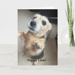 Puppy Love Greeting Card