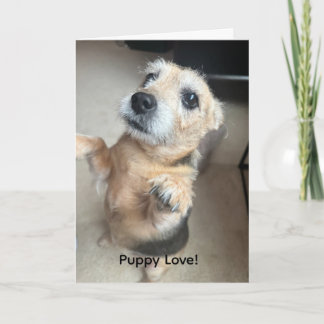 Puppy Love Greeting Card