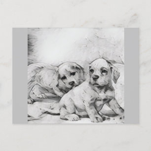 puppy love in gray postcard