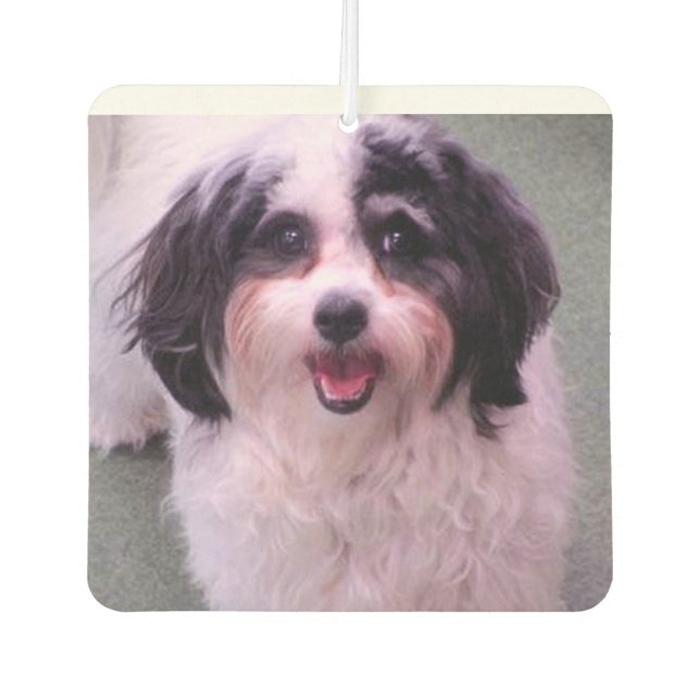 Puppy Love K-Cee Valentine Car Air Freshener (Front)