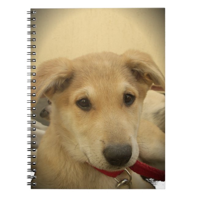 Puppy Love: Man's Best Friend Notebook (Front)