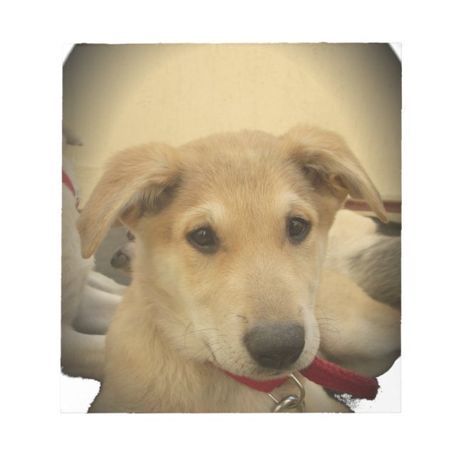 Puppy Love: Man's Best Friend Notepad (Front)