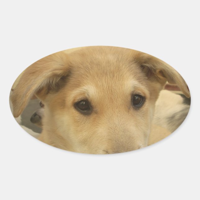 Puppy Love: Man's Best Friend Oval Sticker (Front)