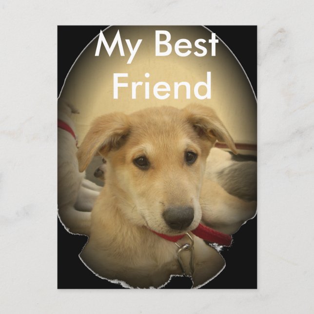 Puppy Love: Man's Best Friend Postcard (Front)