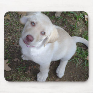 Puppy Love Mouse Pad