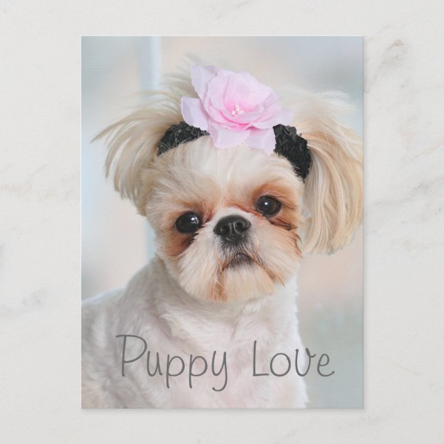 Puppy Love Postcard (Front)