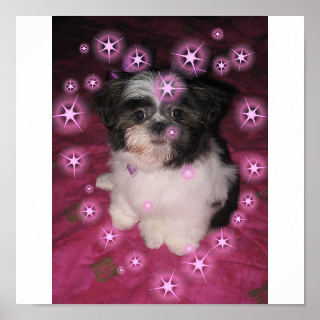 Puppy Love Poster (Front)