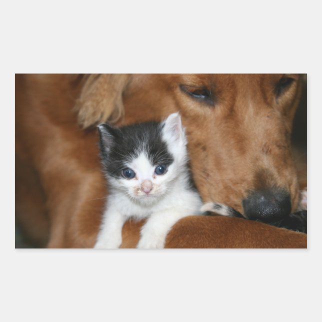 Puppy love rectangular sticker (Front)