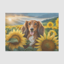 Puppy Loves Sunflowers Brown Long Haired Dachshund