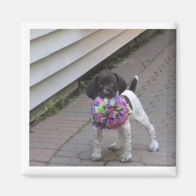 puppy magnet (Front)