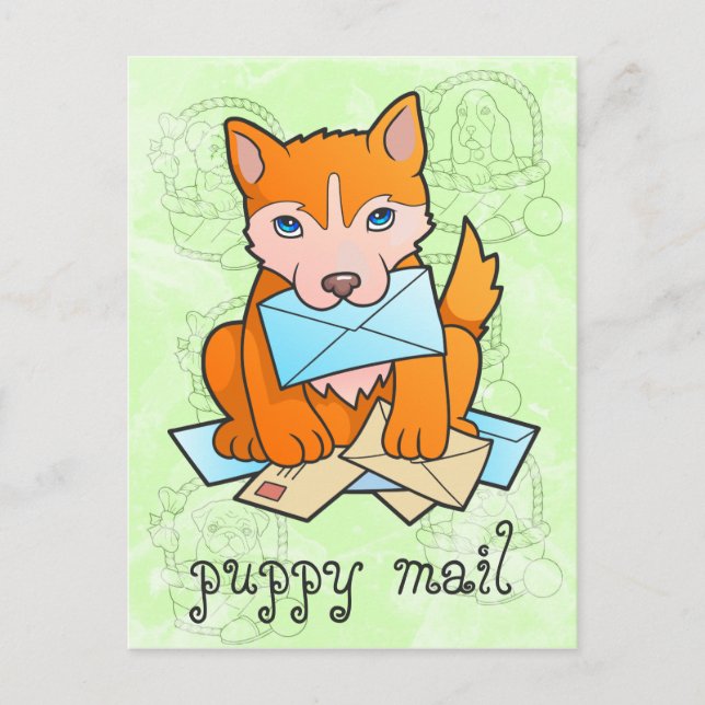 puppy mail postcard (Front)
