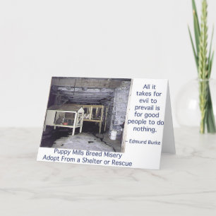 Puppy Mills Breed Misery Card