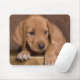 puppy mouse pad (With Mouse)