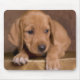 puppy mouse pad (Front)
