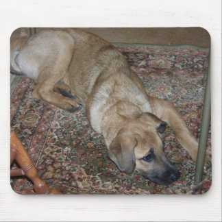 puppy mousepad