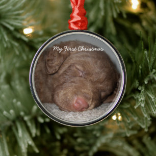 Puppy My First Christmas Photo Ornaments