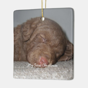 Puppy My First Christmas Photo Ornaments