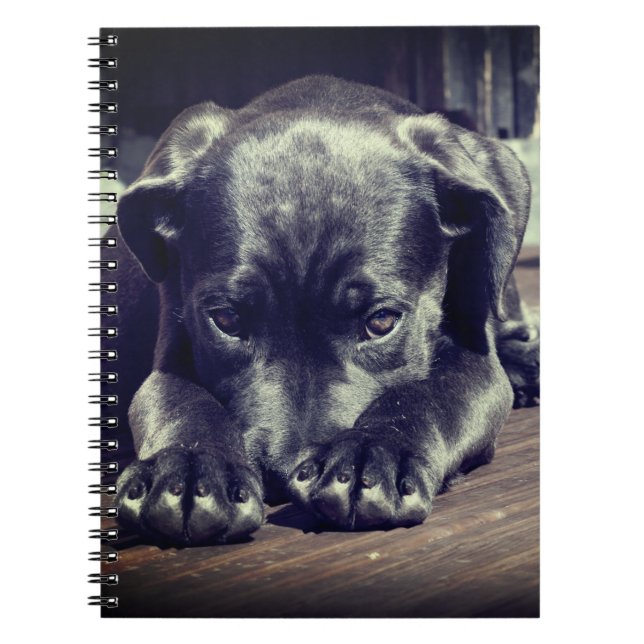 Puppy Notebook (Front)