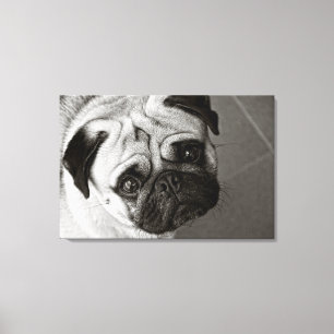 Puppy of Pug on linen cloth Canvas Print