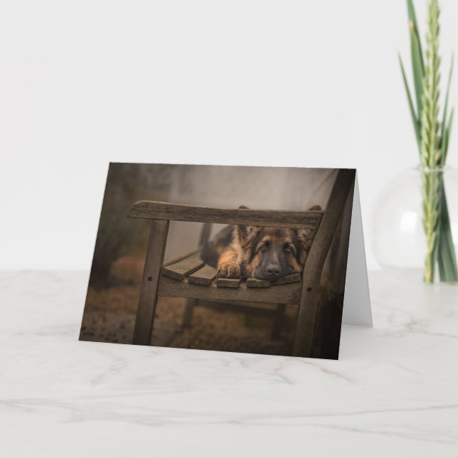 Puppy on a bench card (Front)