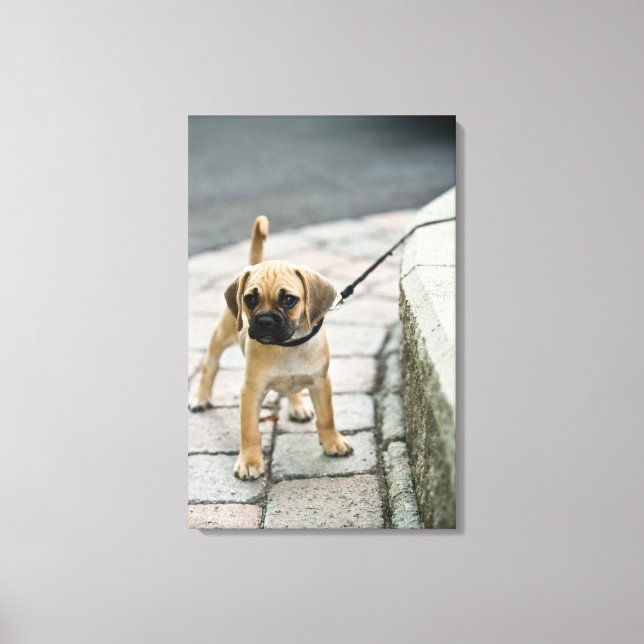 Puppy on leash canvas print (Front)