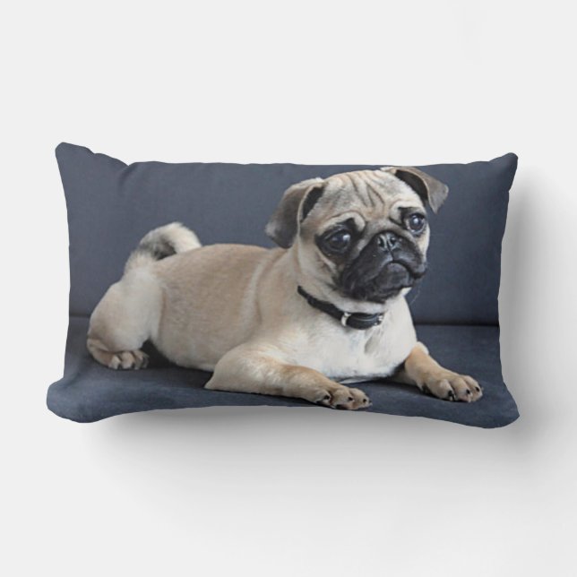 Puppy On Lounging Couch Lumbar Cushion (Front)