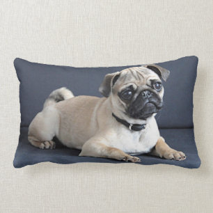 Puppy On Lounging Couch Lumbar Cushion
