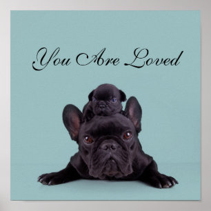 Puppy On The Head Of His Mother Poster