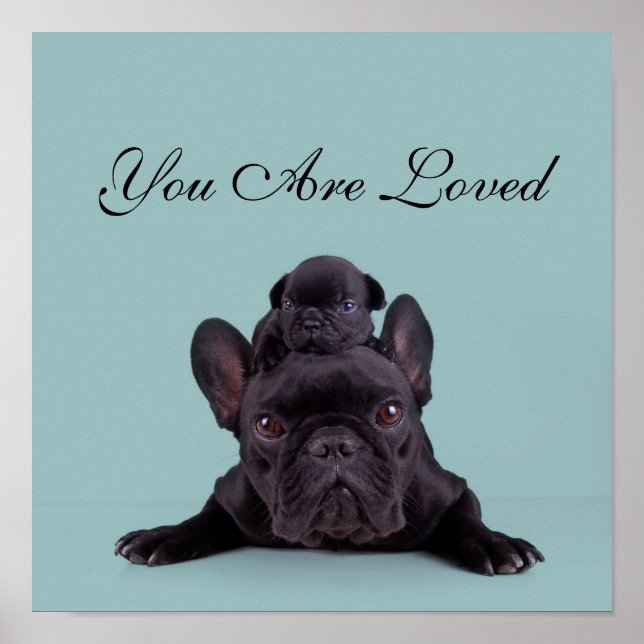 Puppy On The Head Of His Mother Poster (Front)