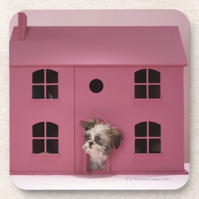 Puppy peering out of doll's house coaster (Front)