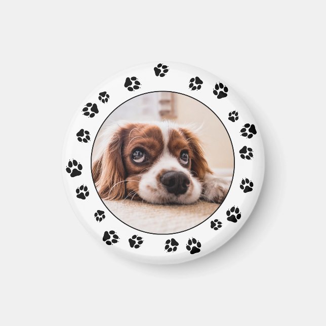 Puppy Photo Black Pawprints Magnet (Front)