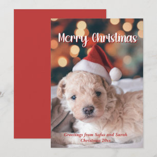 Puppy photo Merry Christmas Holiday Card