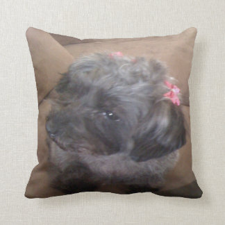 puppy pillow