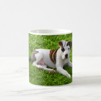 Puppy Pit Bull T-Bone Coffee Mug