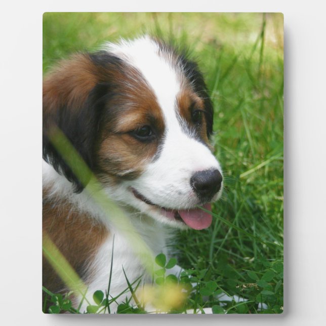 Puppy Plaque (Front)