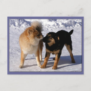 Puppy play Postcards