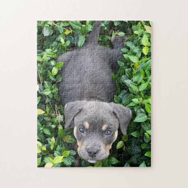 Puppy Playing In Bushes Puzzle (Vertical)