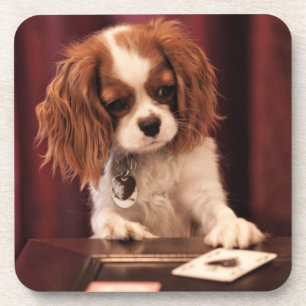 Puppy Plays Cards Coaster