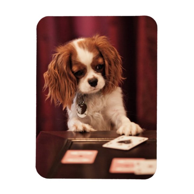 Puppy Plays Cards Magnet (Vertical)