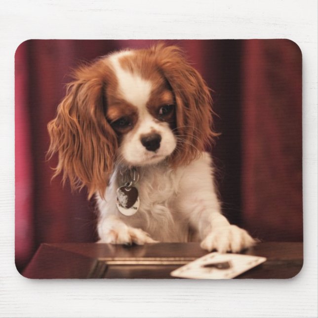 Puppy Plays Cards Mouse Pad (Front)