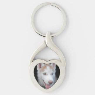 Puppy preschool key ring