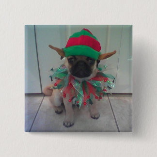 Puppy Pug Elf square button, pin