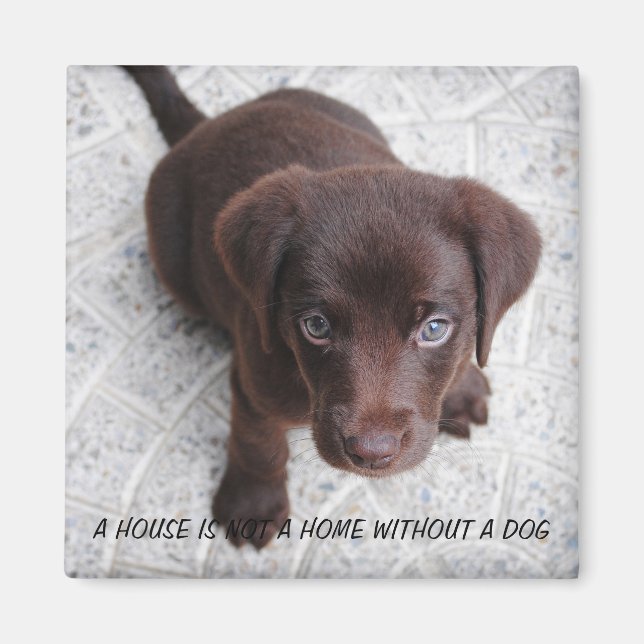 Puppy Quote Magnet (Front)