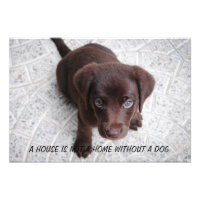 Puppy Quote