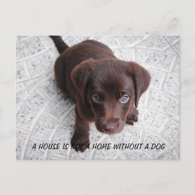Puppy Quote Postcard (Front)