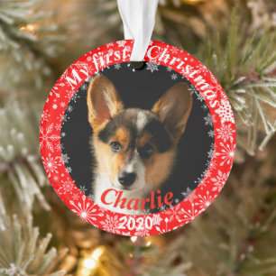 Puppy’s First Christmas Photo Ornament
