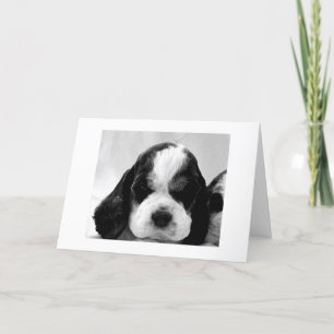 PUPPY SAYS "SAY IT ISN'T SO" 30th BIRTHDAY Card